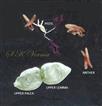  Parts of  upper fertile floret
